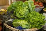 garten.ch